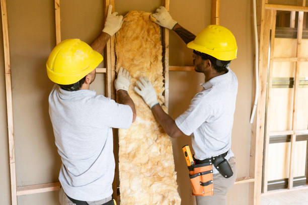 Best Attic Insulation Installation in Laurens, SC